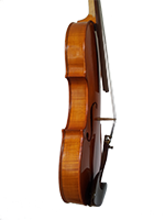 Violina 2 Bok